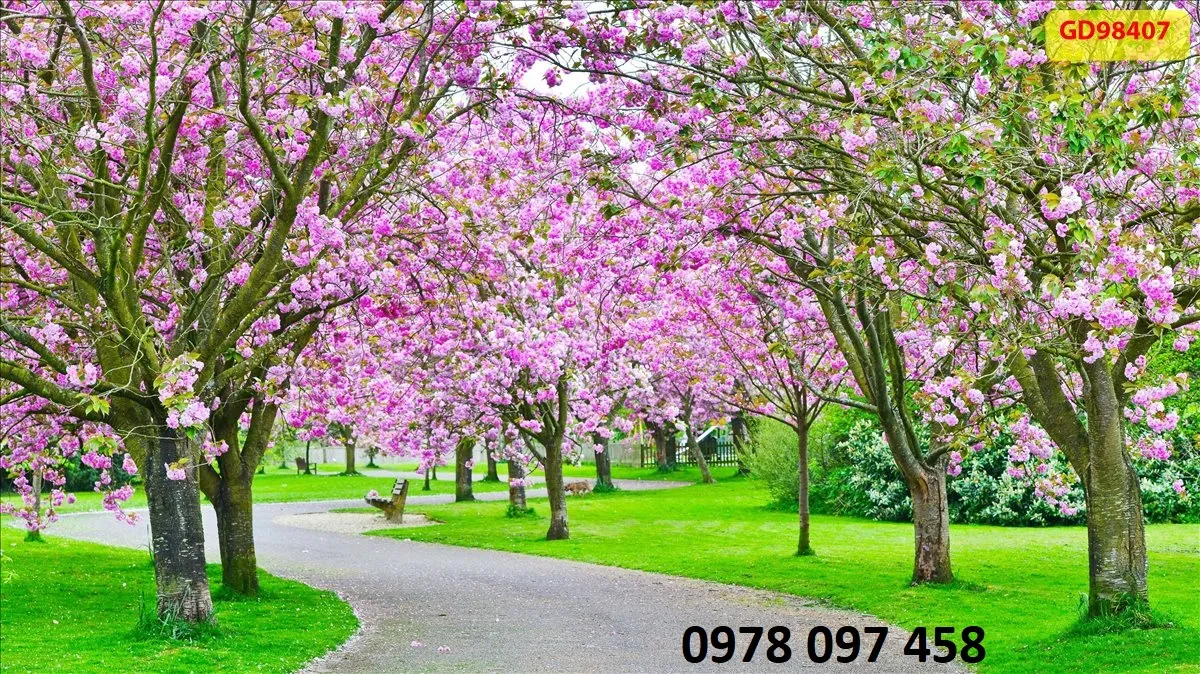 Tranh phong cảnh con đường hàng cây - gạch tranh ốp tường