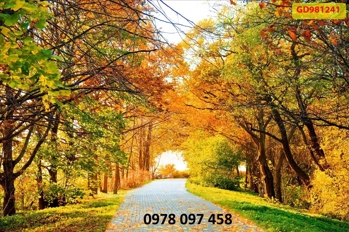 Tranh ốp tường trang trí nhà cửa họa tiết phong cảnh con đường